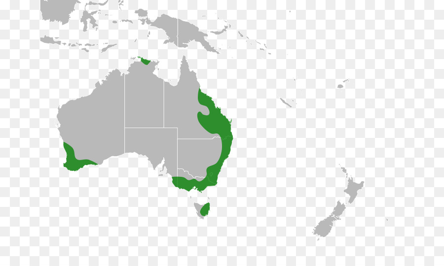 Cờ của New Guinea bản đồ Trống bản đồ thế Giới - new guinea