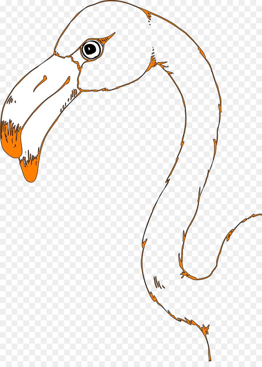 Vogel flamingo-Zeichnung Clip art - Vogel