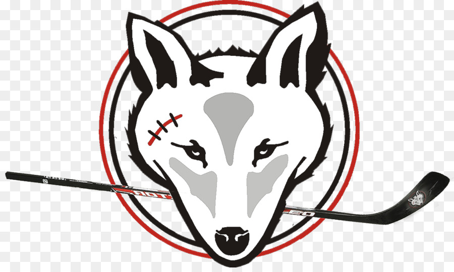 Coyote Hockey Team Schutzausrüstung im Sport Taos Jugend und Familienzentrum - Eishockey