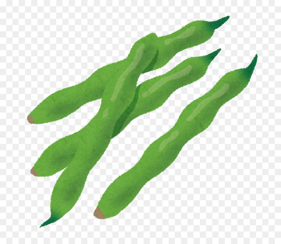 Gemeinsame Bohnen-Grüne Bohnen-Gemüse-Phaseolin - pflanzliche