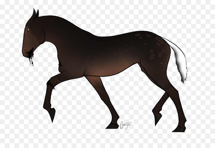 Horse Cartoon