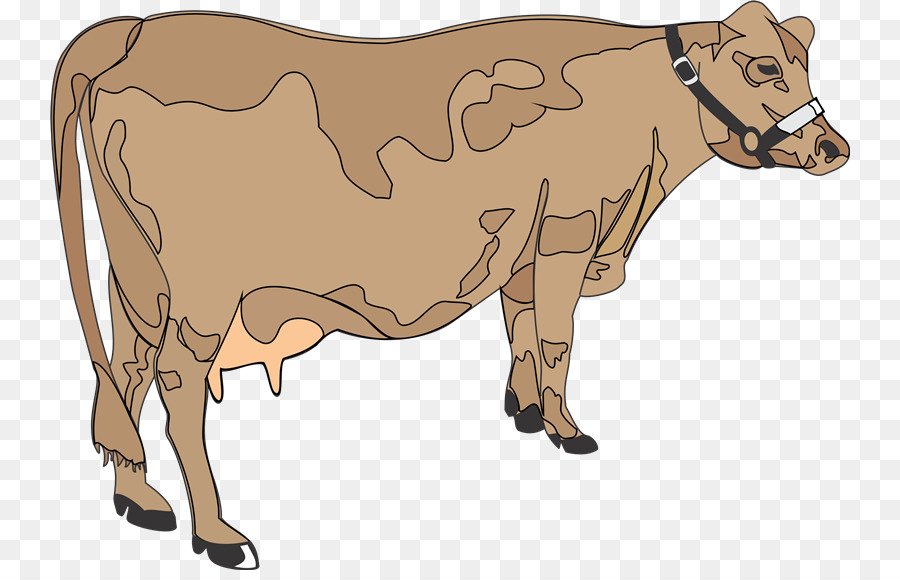 Bò sữa Bò Tổng gia súc Bull Clip nghệ thuật - bò