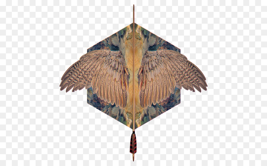 Vogel Flügel Feder - Vogel