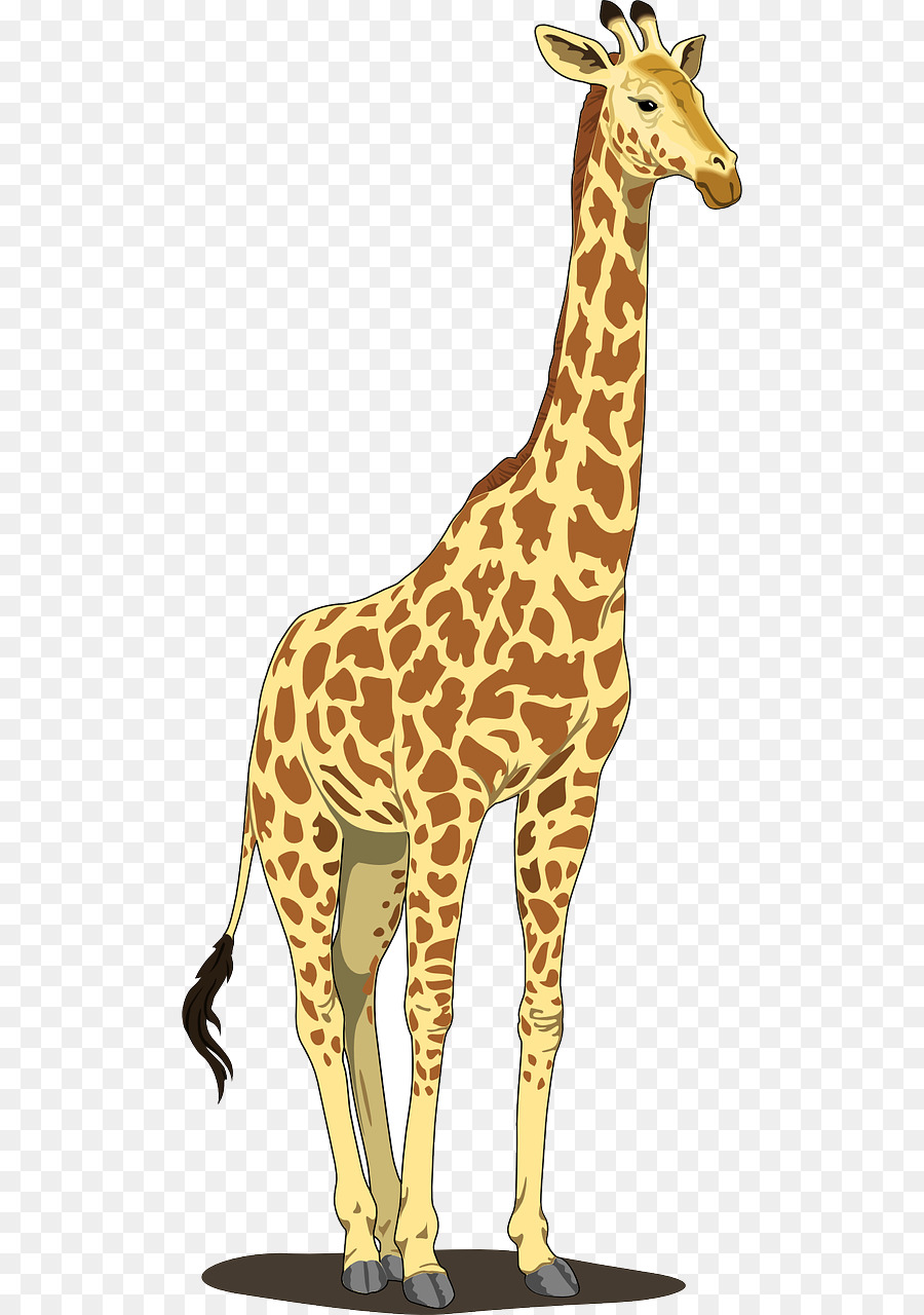Animal Cartoon png download - 640*1280 - Free Transparent Giraffe png  Download. - CleanPNG / KissPNG