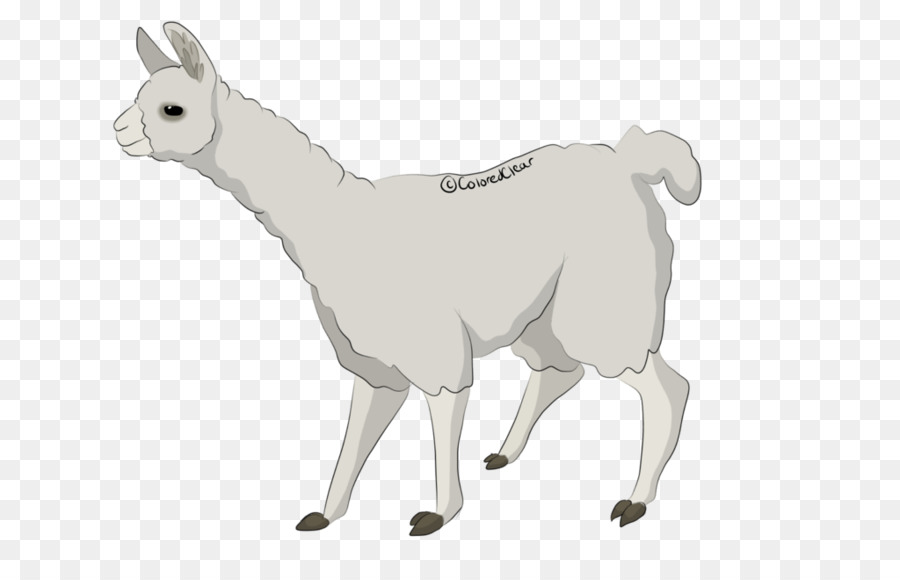 Llama Cartoon