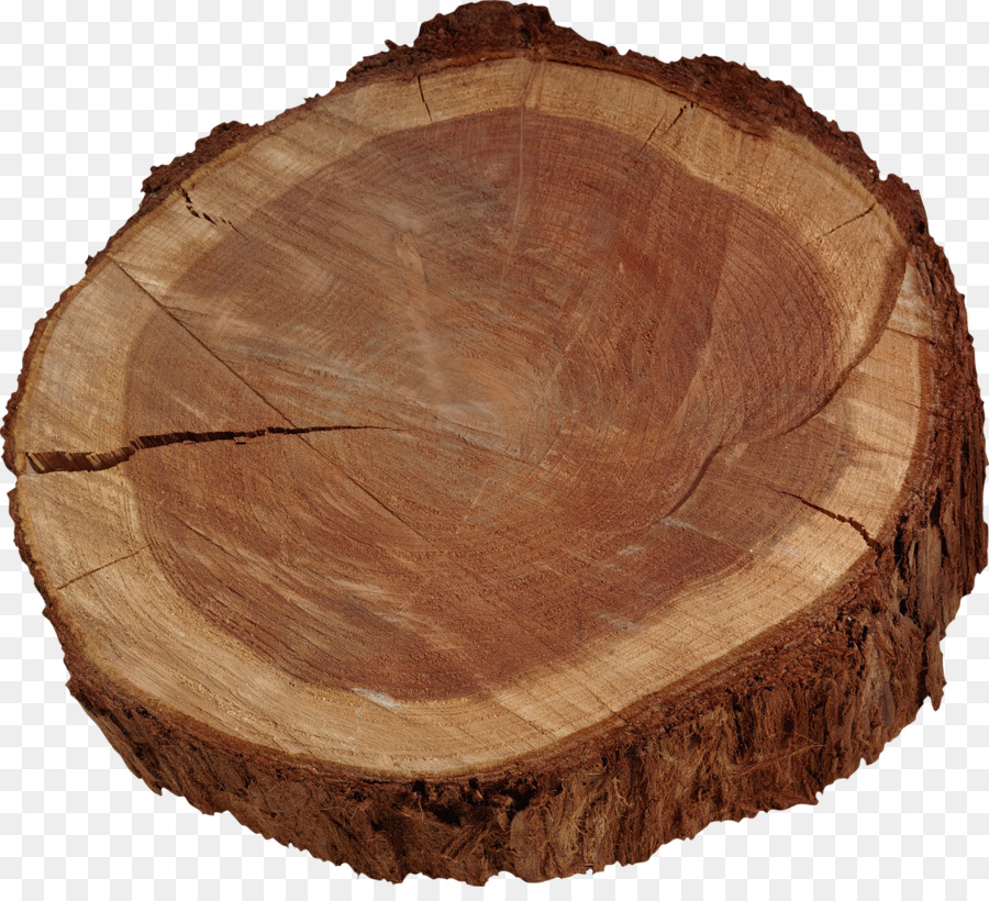 Baumstamm Holz - Baum