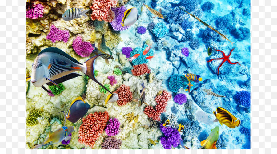 Coral Reef Vita di pesci di barriera corallina dell'Oceano - barriera corallina
