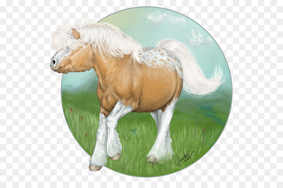 Mustang Stallone Puledro Mare Pony - mustang