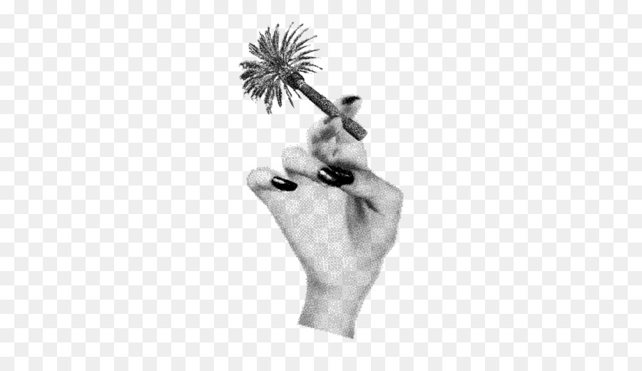 Ngón tay cái Homo sapiens Trắng Bức tượng Arecaceae - hokey