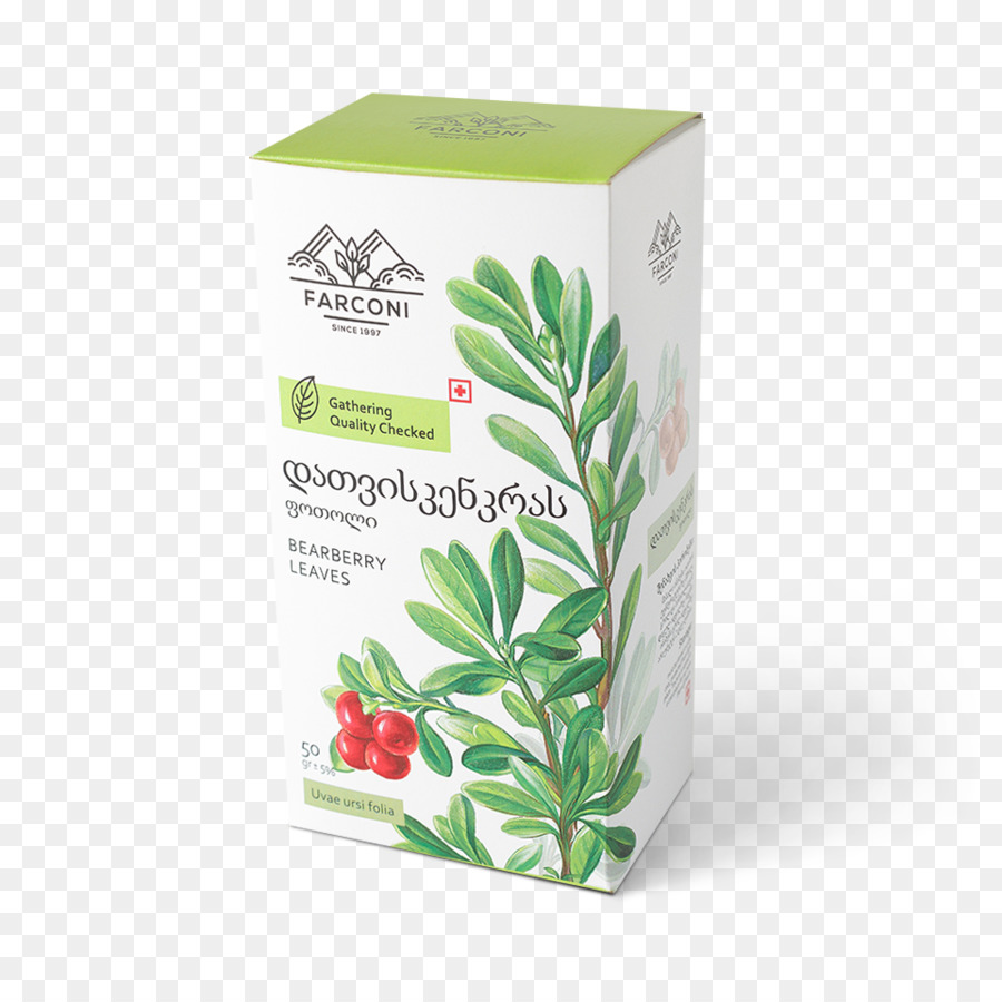 Thảo mộc * cây thuốc Berry Trà - Bearberry