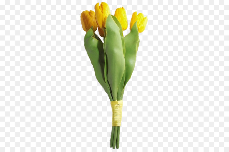 Tulip Lieferung von Blumen Schneiden, Blumen Pflanzen-Stammzellen - Tulip