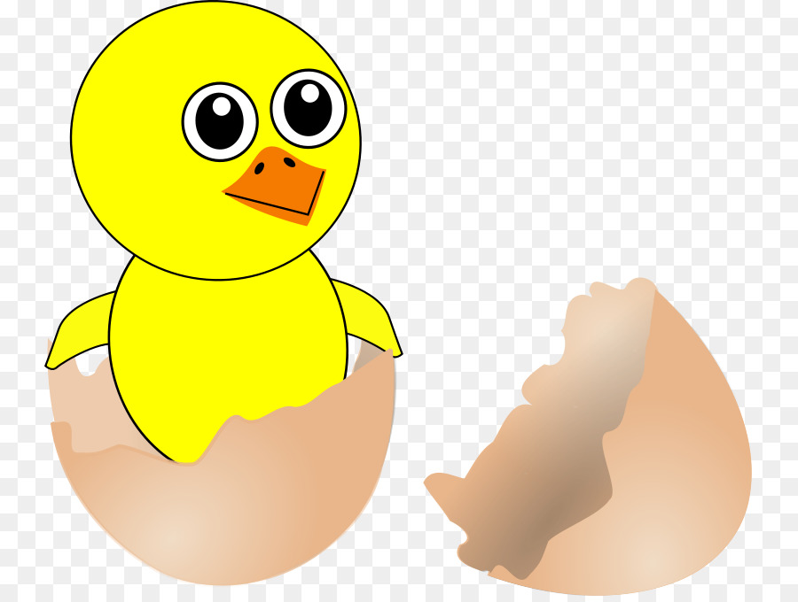 Hühner-Eierschale Kifaranga Vogel - Huhn