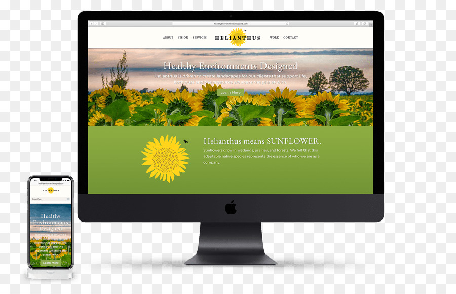 Common sunflower Nachhaltige Landschafts Computer Monitore Multimedia - Helianthus