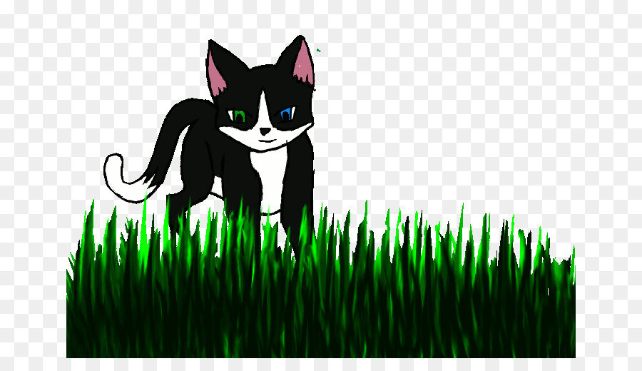 I Baffi Del Gatto Sfondo Desktop Cartone Animato - gatto