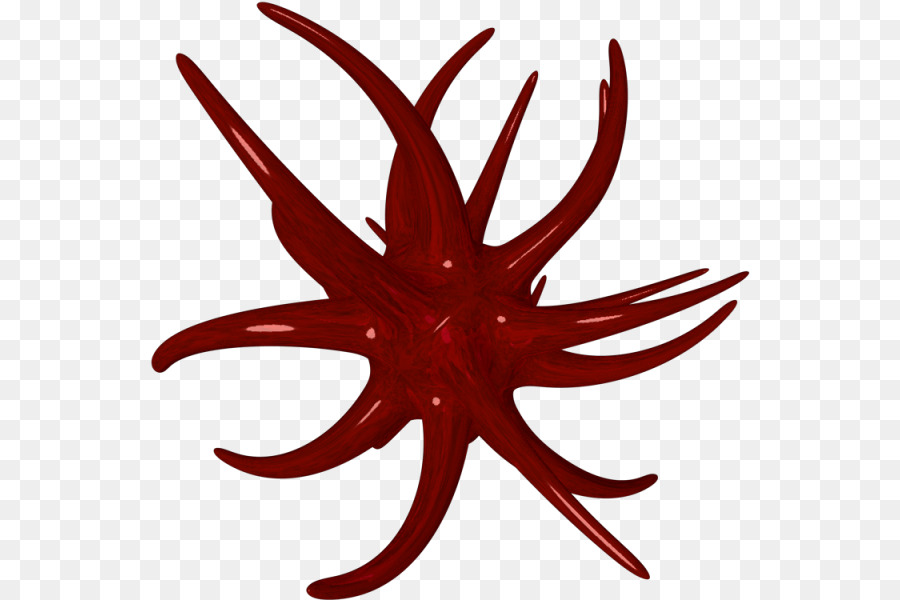 Starfish Linea Foglia Clip art - stella marina