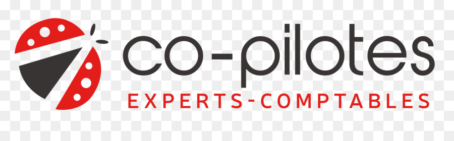 CO PILOTES Experten Experts comptables Logo Marke Computer Software - Pilot