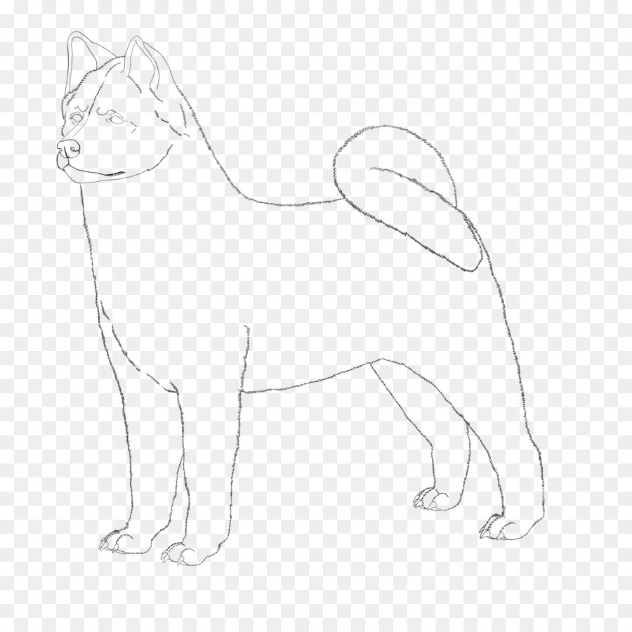 Cane di razza Baffi di Gatto Akita Giapponese Spitz - gatto