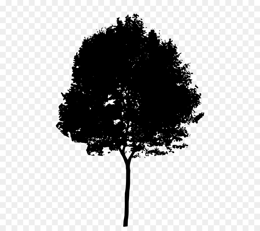 Silhouette Tree Clip Art - silhouette des Baumes