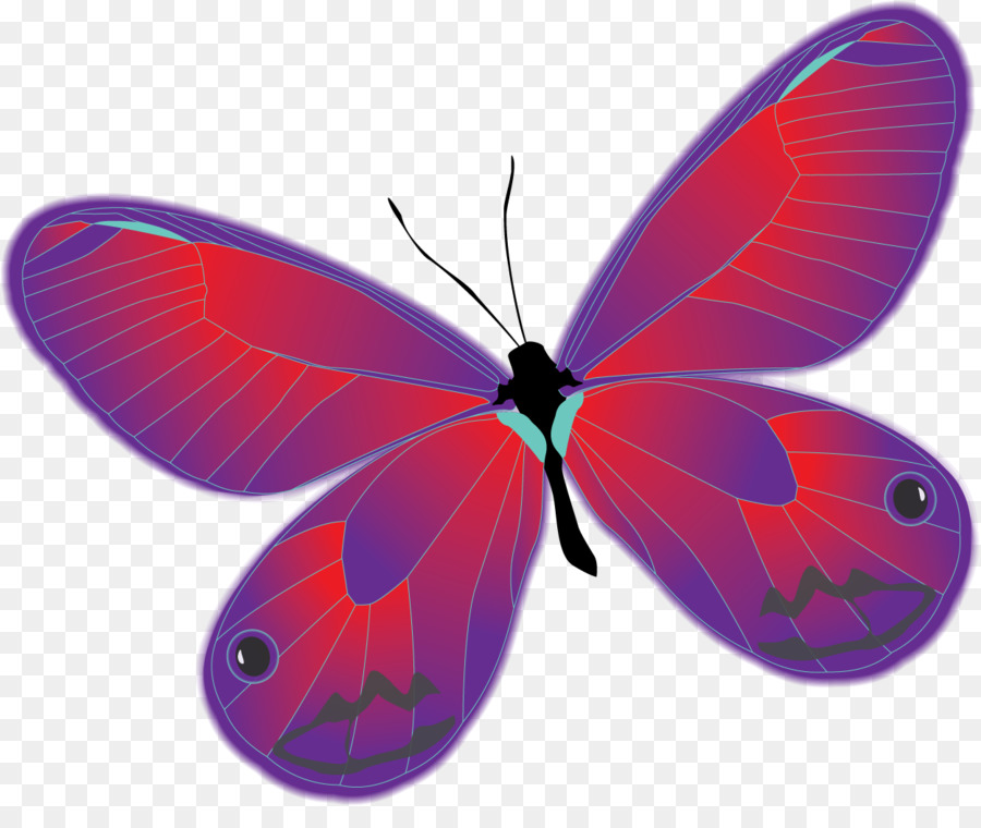 Spazzola zampe farfalle Gossamer ali di farfalle Farfalla - farfalla
