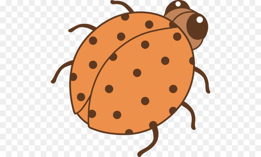 Colore Coccinella, coleottero Arancione Clip art - clipart lady bug
