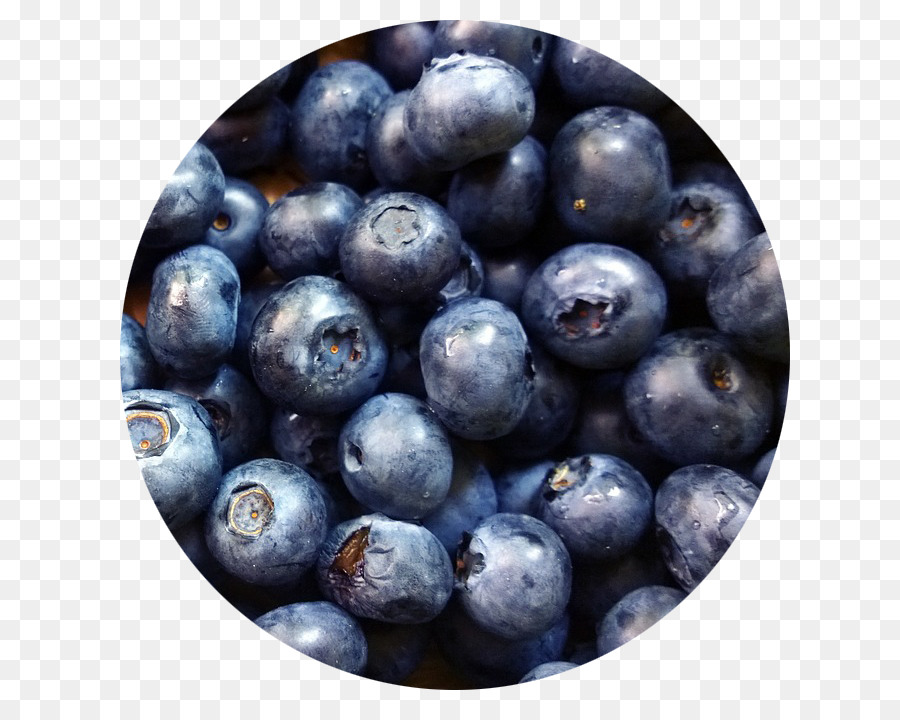 Blueberry pie Pfannkuchen Gesundheit - Heidelbeere