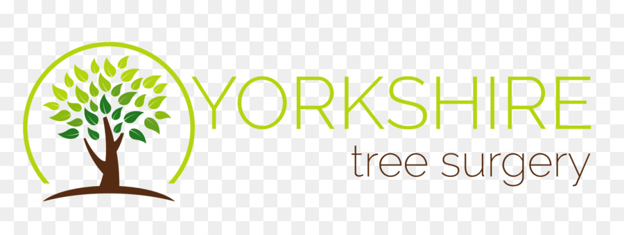 Yorkshire Tree Chirurgie / Pflege Rumpf Und Yorkshire Marke Bespoke Inspiration Ltd Industrie - Baum