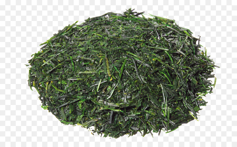 Gyokuro, grüner Tee, Petersilie Weißer Tee - Tee
