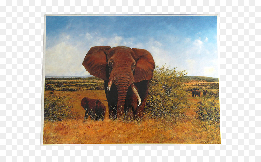 Indischer Elefant afrikanischer Elefant-Kunst-Landschaft Wildlife - verschütten