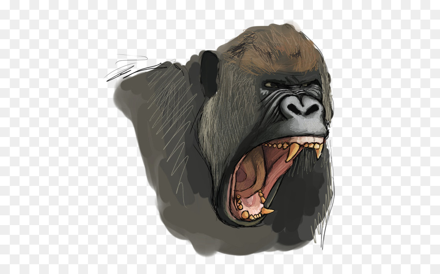 Gemeinsame Gorilla westlicher gorilla Schnauze - Gorilla-Malerei