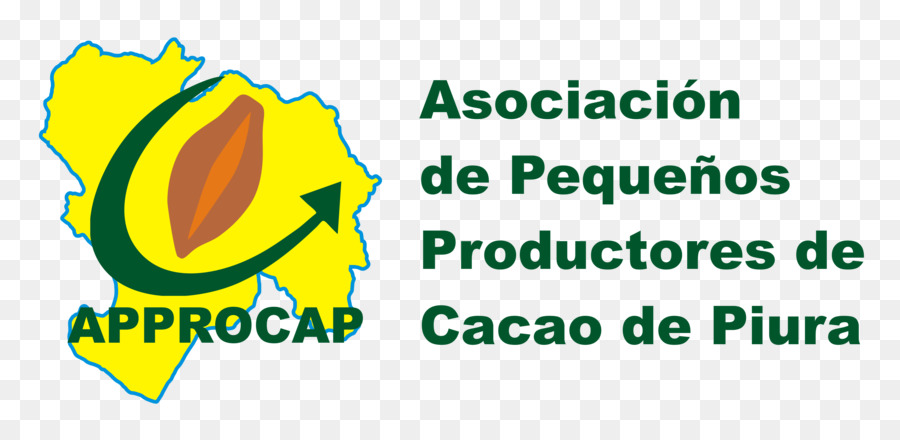 Piura Sô Cô La Criollo Cacao Cây Cacao Arriba - sô cô la