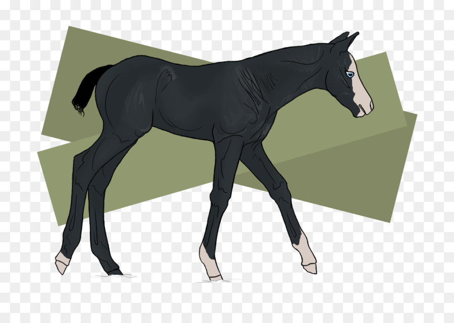 Horse Cartoon