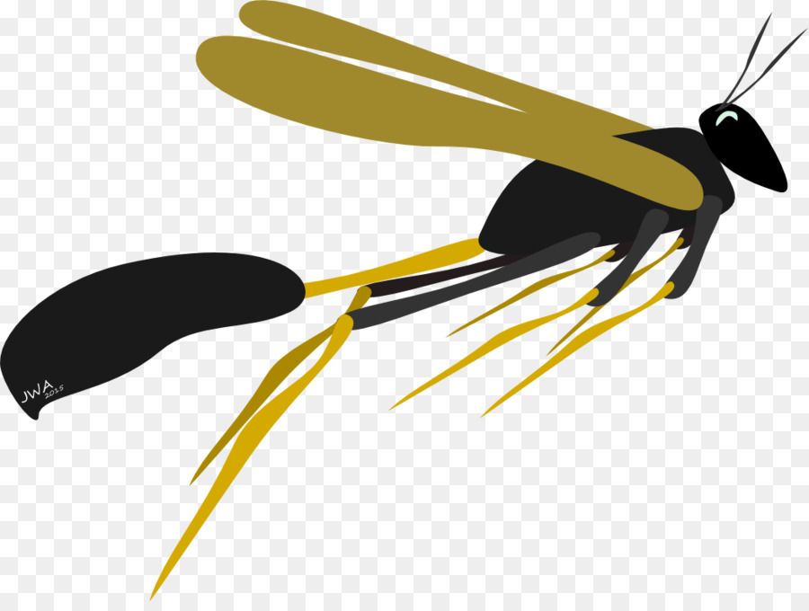 Insekt Propeller Clip-art - Insekt