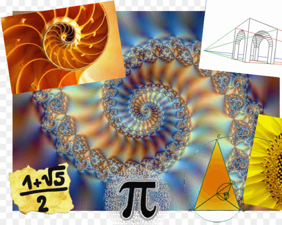 Nautilus-Fraktale Mathematik der Heiligen geometrie Seashell - Mathematik