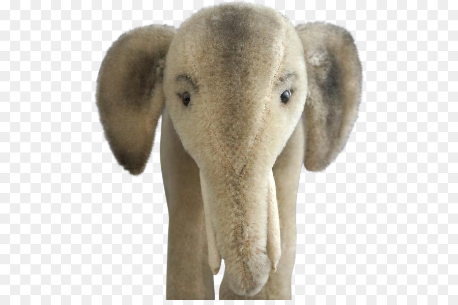 Indiano elefante Africano, elefante, Fauna selvatica Curtiss C-46 Commando Elephantidae - educa&interno e giorni festivi;