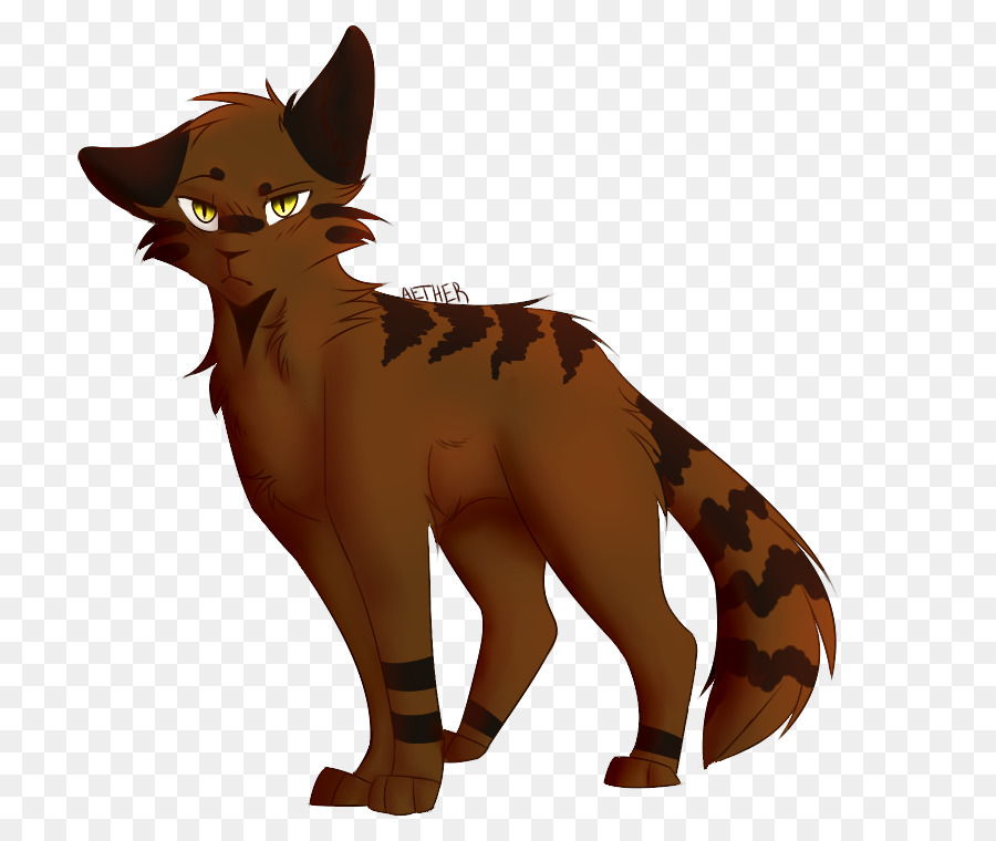 Baffi Red fox Gatto del Cane di razza - gatto