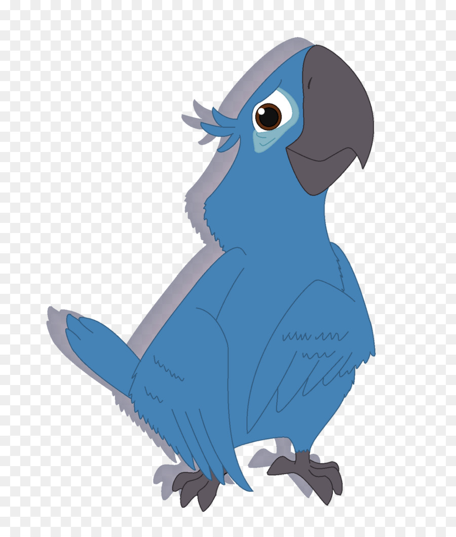 Macaw Pappagallo Becco Piume - pappagallo