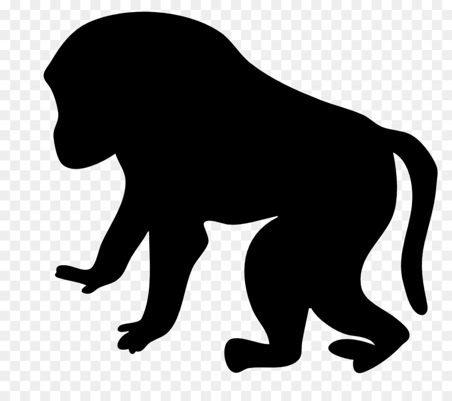 Macaco Primate Cercopithecidae Clip art - scimmia