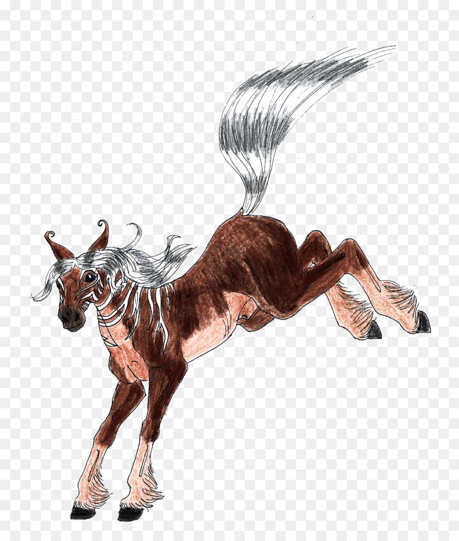 Cavallo Antilope Wildlife, Mammifero Animale - cavallo