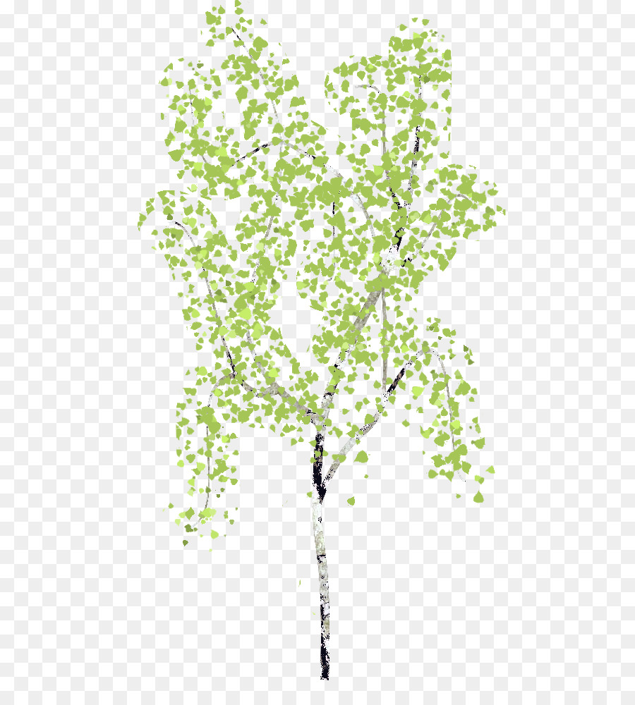 Twig staminali Vegetali di Foglia di Linea - foglia