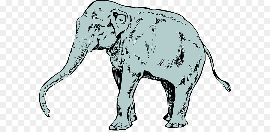 Elefante africano Elephantidae Boccale Il Santuario degli Elefanti di Sumatra elefante - tronco di elefante