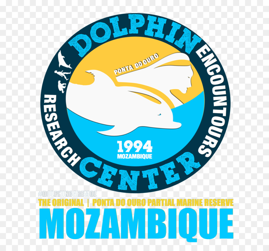 Kosi Bay Die Dolphin Centre Oceana Tauchbasis Delphin Encountours Research Center - grüne Blase