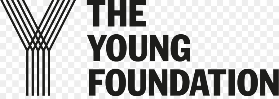 Giovane Fondazione, Società Della Gioventù Business Ricerca - altri