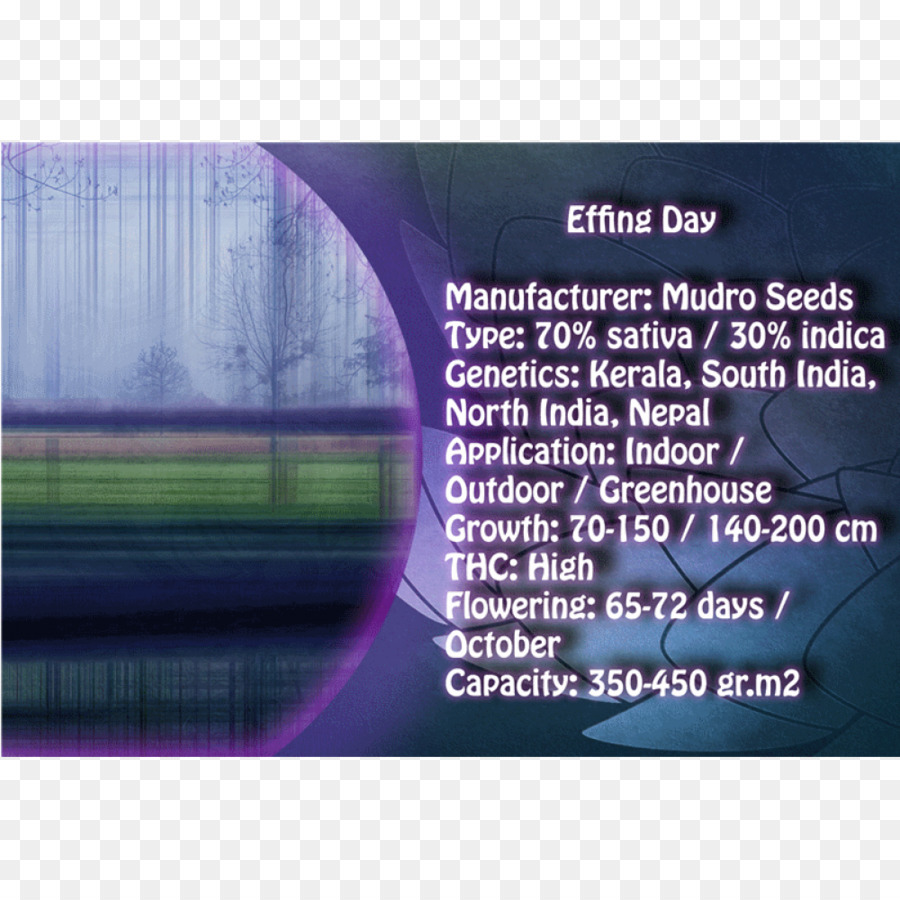 Finite Element Method Purple