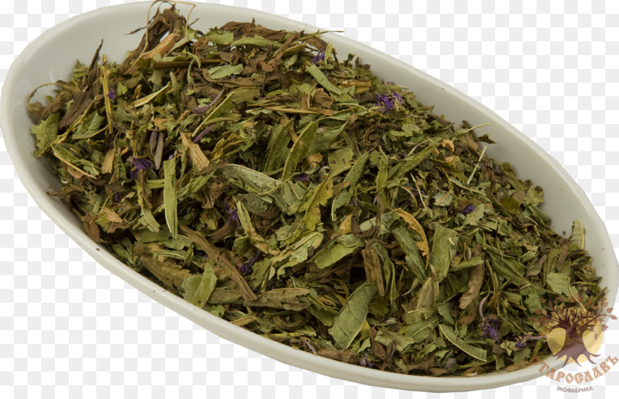 Nilgiri tea Fioritura tè Sencha tè Ugunspuķes - tè