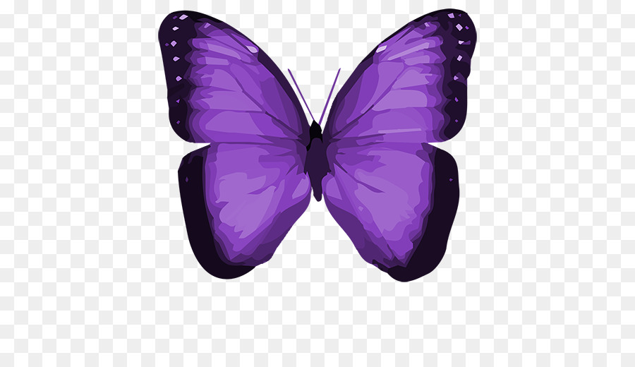 Vua bướm màu Xanh hình bướm giáp khan Hiếm hình thái - bướm