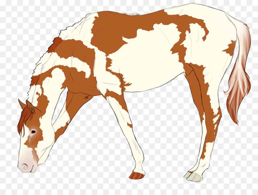 Chú Ngựa Bờm Ngựa Mare Colt - mustang