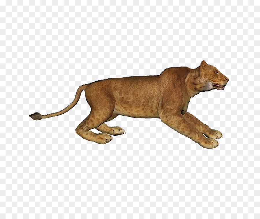 Lion Download Encapsulated PostScript - leone