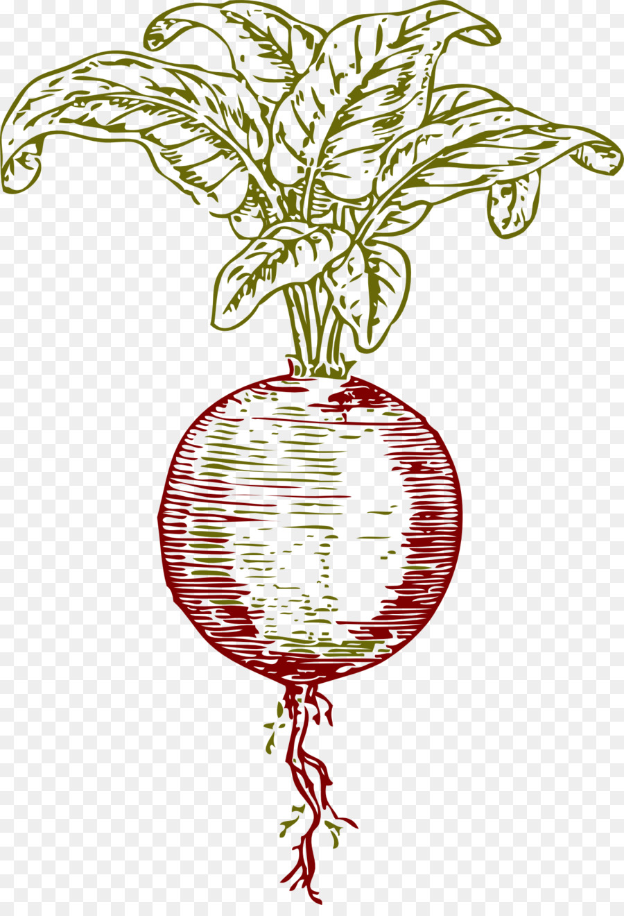 Granatapfel-Saft rote-bete-Rüben-Gemüse - Saft