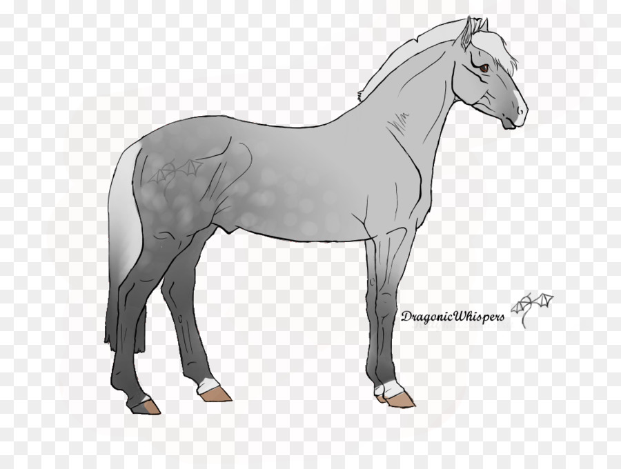 Bờm Ngựa Mustang Dây Cương Stallion - mustang