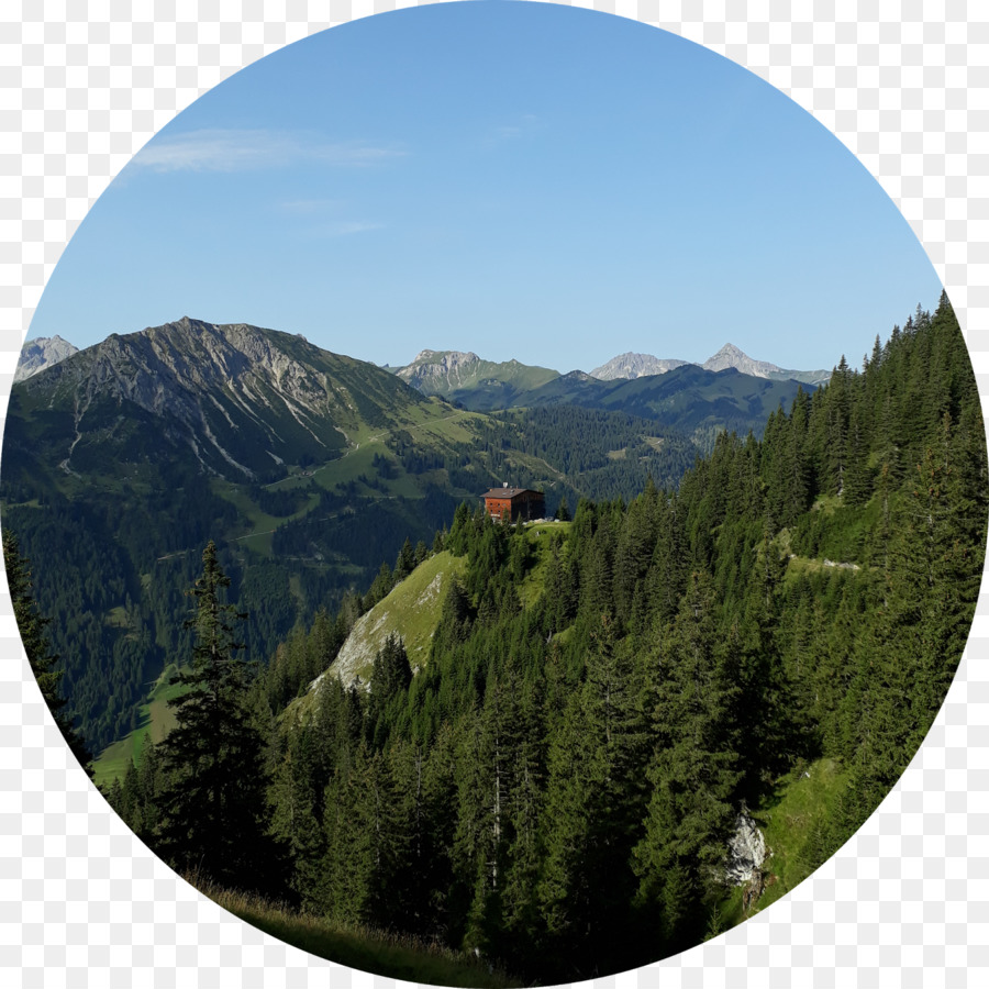 Monte Scenario il parco Nazionale delle Alpi Bioma stazione di Collina - albero